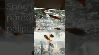 ikan hias asyik