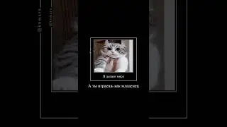 Комару и бич я борат... 