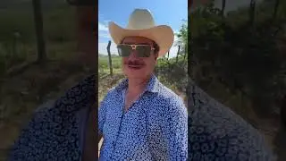 CABALGANDO AGUSTO 🐴🤠👍 (Pavel moreno)