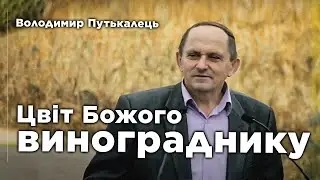 Как сохранить молодежь и подростков для Господа | Володимир Путькалець