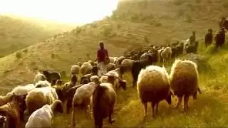 Xeyrî - Xezalê ( Ceylan Önkol Anısına  )