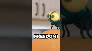 Can You Really be Friends with a Spider? #LucastheSpider