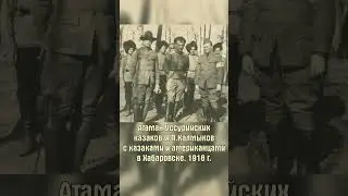Хабаровские казаки #shorts #история #литература #классика