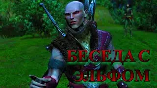 The Witcher: Беседа с эльфом.