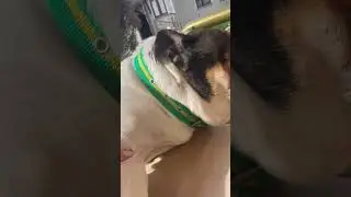 По душе кататься на качелях