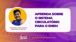 Aprenda sobre o sistema circulatório para o Enem