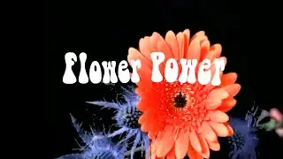 Flower Power