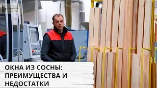 Окна из сосны. Преимущества и недостатки