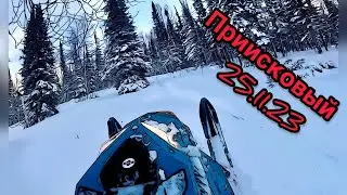 Приисковый 25.11.23