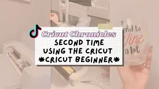 APPLYING VINYL ON WINE GLASS | ORACAL 651 VINYL