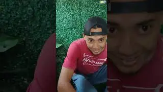 suami me5um - suami istri kocak - 
