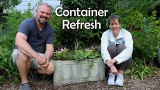 Garden Container Planting on a Budget
