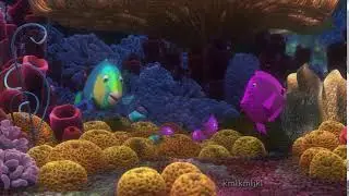 something something sponge beds
