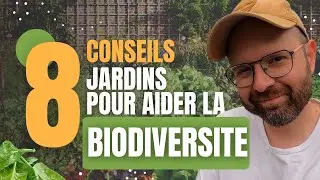 La BIODIVERSITE Dans Votre Jardin #biodiversité #animals