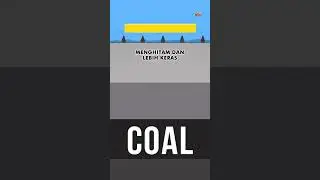 Belajar Tambang - Ini Alasan Kenapa Batubara Berwarna Hitam