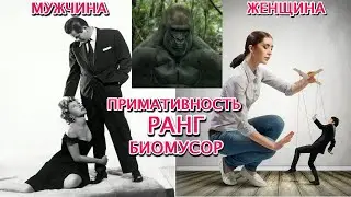 Мужской и женский ранг, примативность. Есть ли различия в мужском и женском ранге?