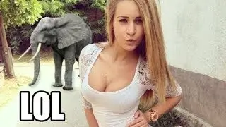 WTF Photos 2016