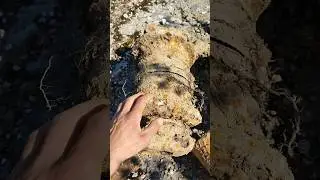 зарабатываю деньги