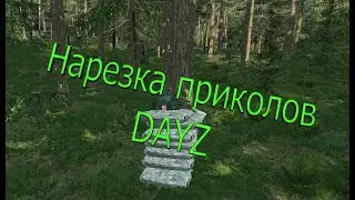 Miniature Admin in DAYZ (Jokes)