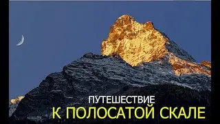 Видео к проекту 