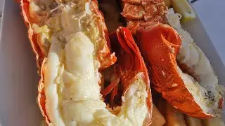 Perth之旅2023｜吃大龙虾Cervantes Lobsters Shack | Lancelin Sand Dunes |Sandy Cape Campsite