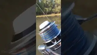 Подержал трофейную щуку