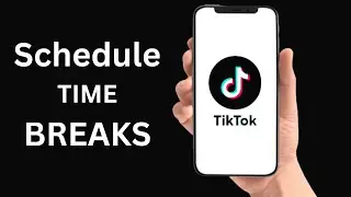 How To Schedule TikTok Screen Time Breaks