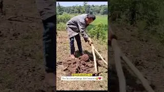 Nima buuu 