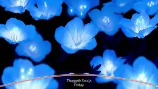 Thuggish Soulja - Friday