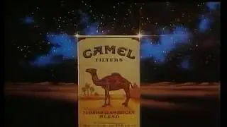 Camel