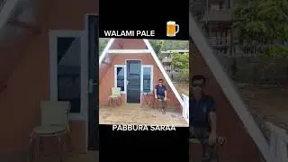 dj pabbura saraa