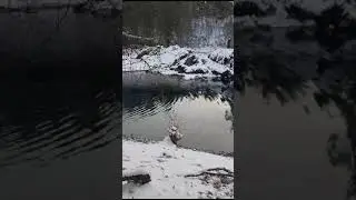 Горный Алтай 2024