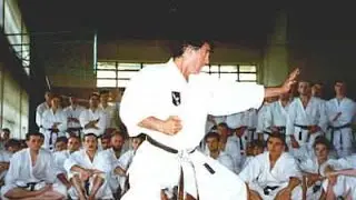 Семинар по Каратэ Фудокан   Илья Йорга, Тимишоара, Румыния 1998 Timisoara Romania Ilija Jorga 2