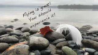 Flying is great