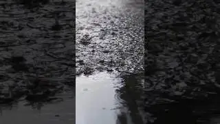 Rain sounds ASMR for sleeping #fyp #rain #rainsounds