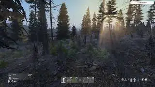 DayZ Stream Namalsk