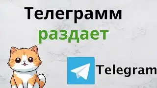 catizens - обзор и гайд аирдроп телеграмм приложения
