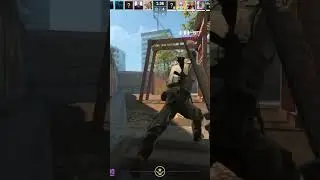 Мохнатка cs2 #приколы #мемы #cs2 #csgo #faceit #ксго #ксгоприколы #мем #рофл