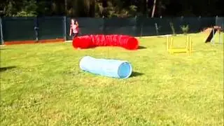 Jessie a agility