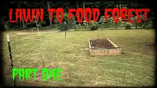 Turning our Lawn into a Food Forest | Part 1