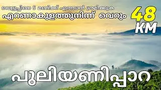 Puliyanippara Detailed Vlog | പുലിയണിപ്പാറ | History of Puliyanipara Temple | vibe hunter