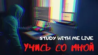 5 HOUR STUDY WITH ME | Учись со мной в реальном времени | study with me live pomodoro | 12h pomodoro