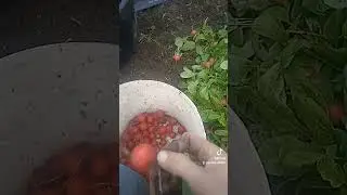 19 березня 2024 р.