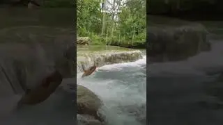 #nature