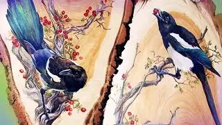 Drawing on wood. The Thieving Magpie.