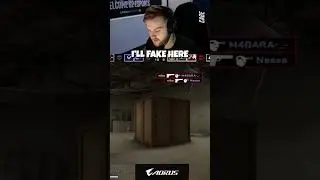 NiKo is on FIRE! 🔥 #csgo #twitchclips #counterstrike