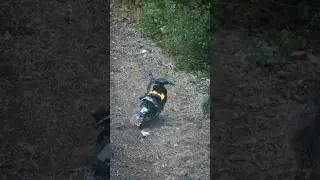 Scooter life🔥 The Story of One Scooter