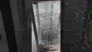7 лютого 2024 р.
