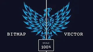 What is a vector? | Difference between Bitmap image & Vector Image