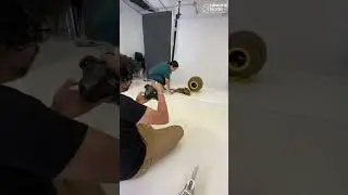 Así se ve un día de fotografías con gatos, una aventura con resultados increíbles🐱📸